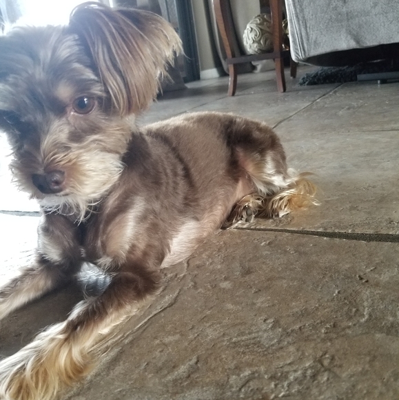 Hi itโs Gisella a wannabe reformed hoarder - Picture 7 of 8